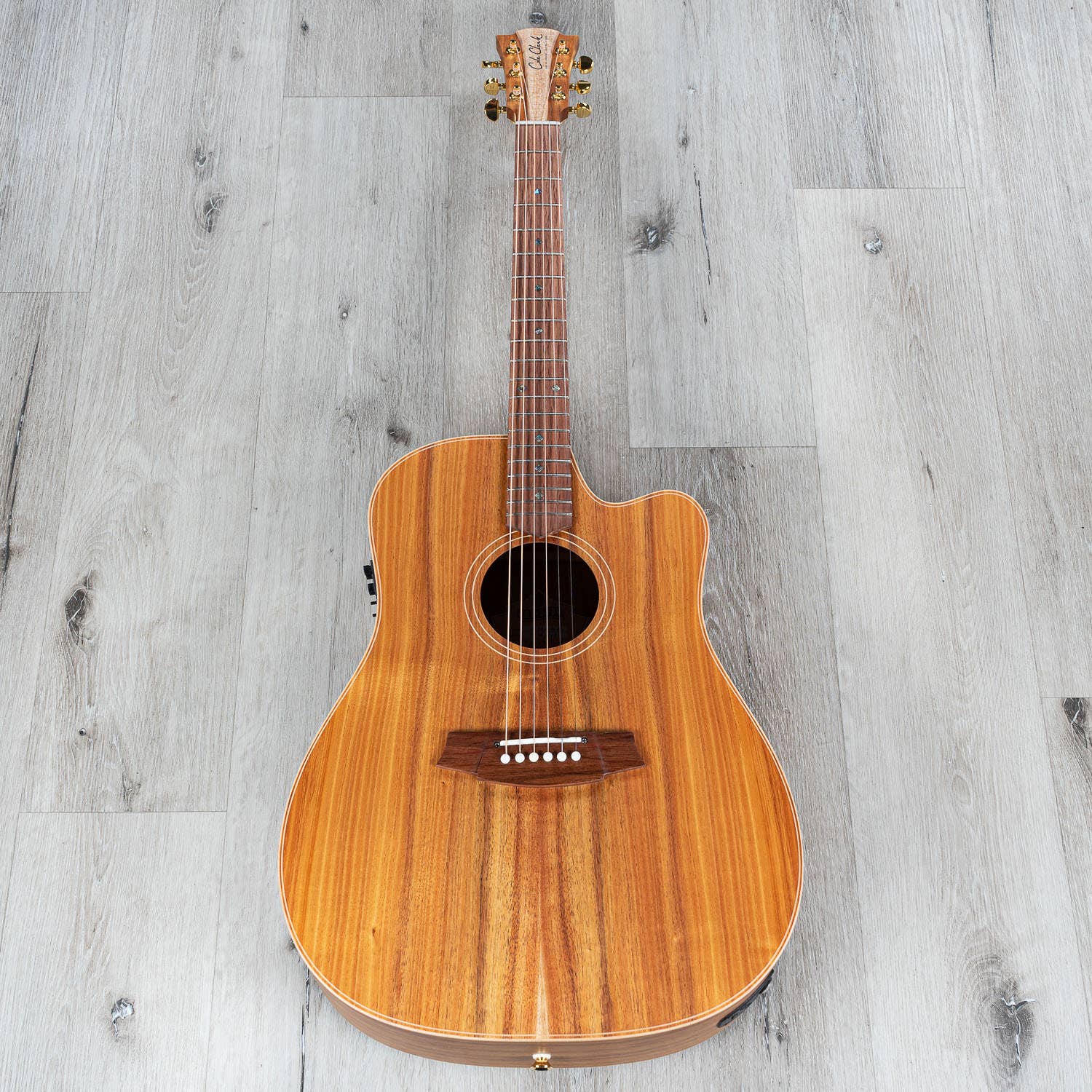 Cole Clark Fat Lady 2 Series FL2EC-BLBL Acoustic-Electric Guitar, Australian Blackwood Top w/ Hard Case