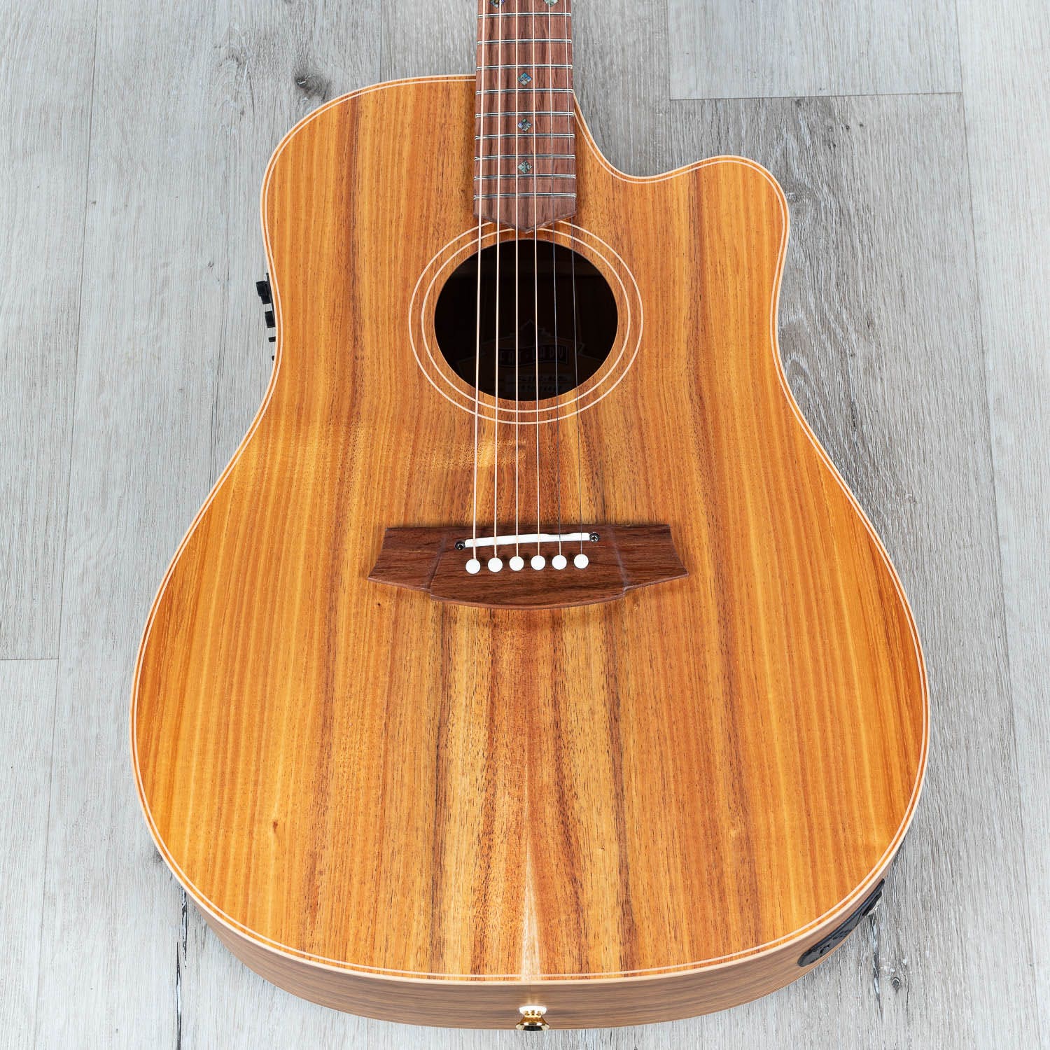 Cole Clark Fat Lady 2 Series FL2EC-BLBL Acoustic-Electric Guitar, Australian Blackwood Top w/ Hard Case