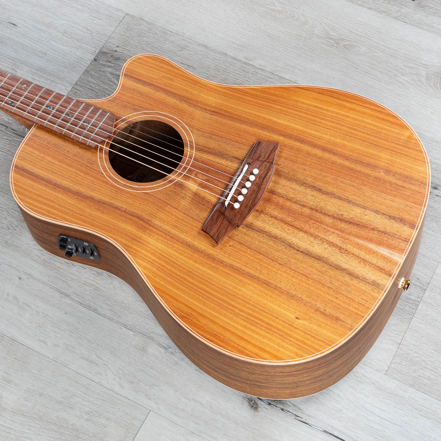Cole Clark Fat Lady 2 Series FL2EC-BLBL Acoustic-Electric Guitar, Australian Blackwood Top w/ Hard Case