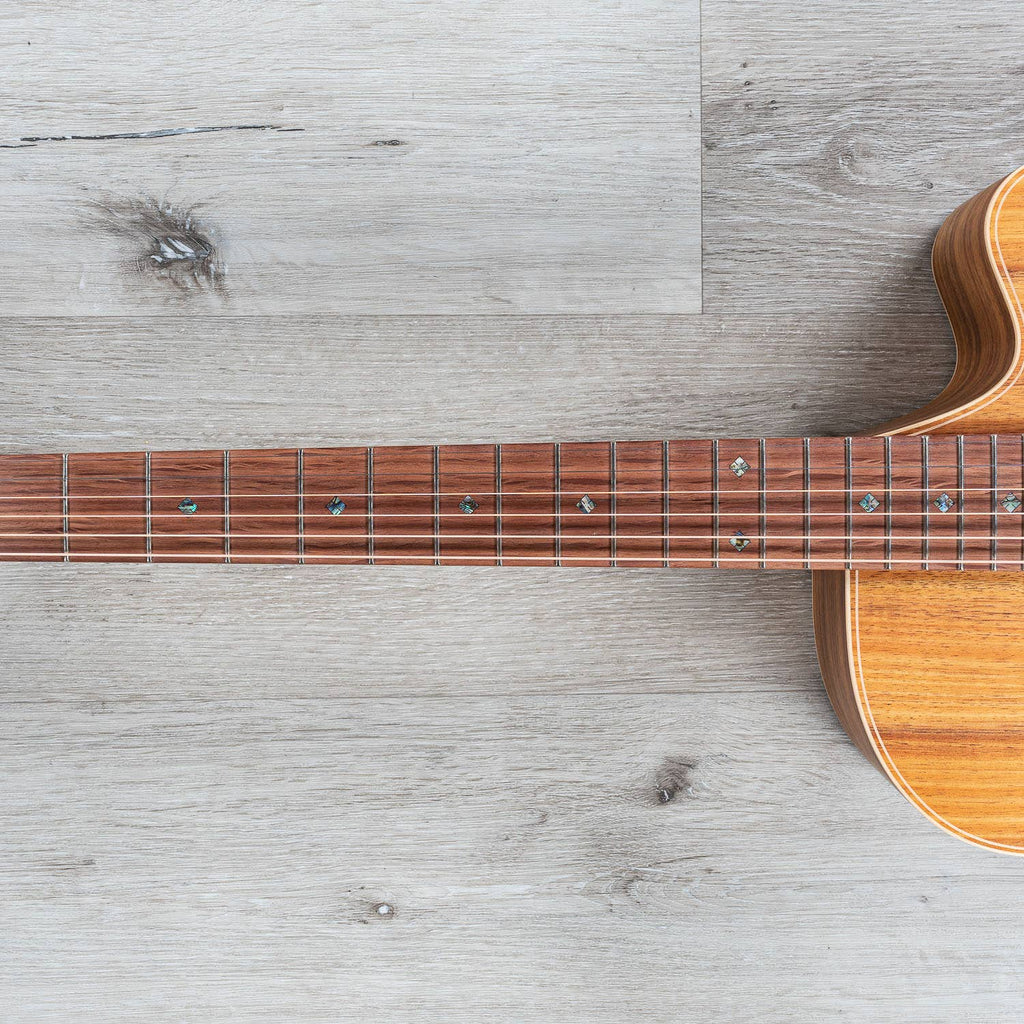 Cole Clark Fat Lady 2 Series FL2EC-BLBL Acoustic-Electric Guitar, Australian Blackwood Top w/ Hard Case