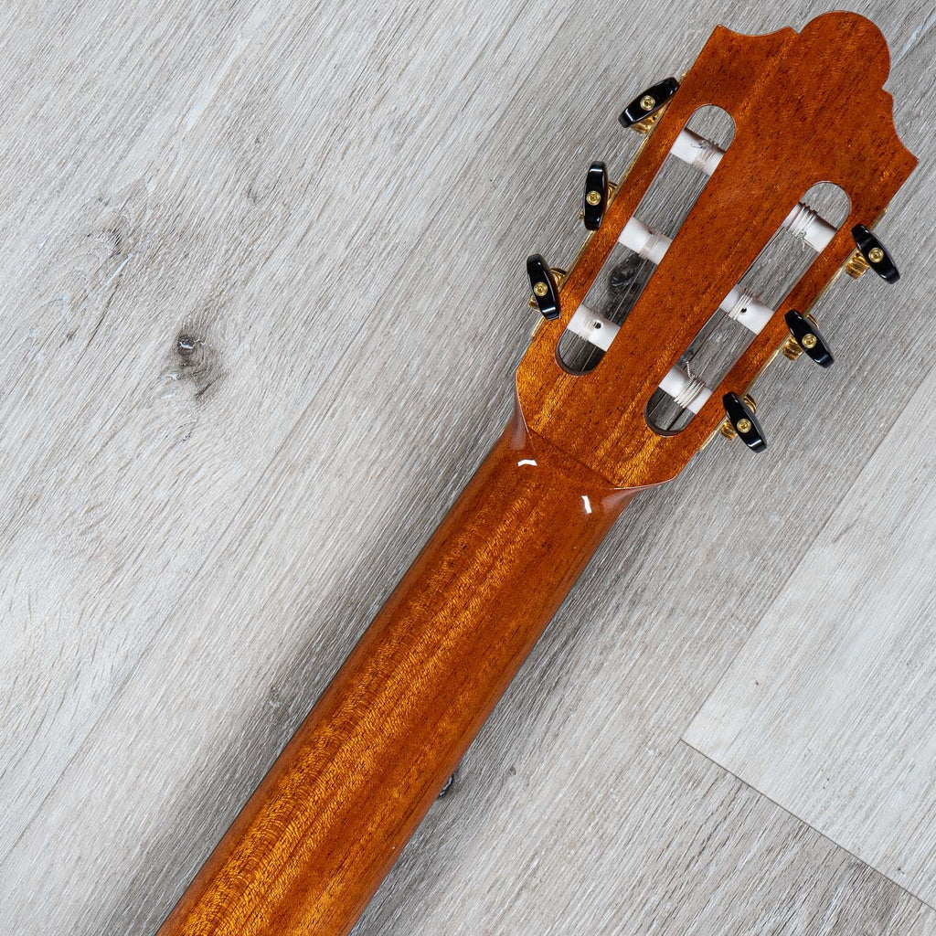 Cordoba Friederich CD PF Traditional Classical Acoustic Guitar, Solid Cedar Top