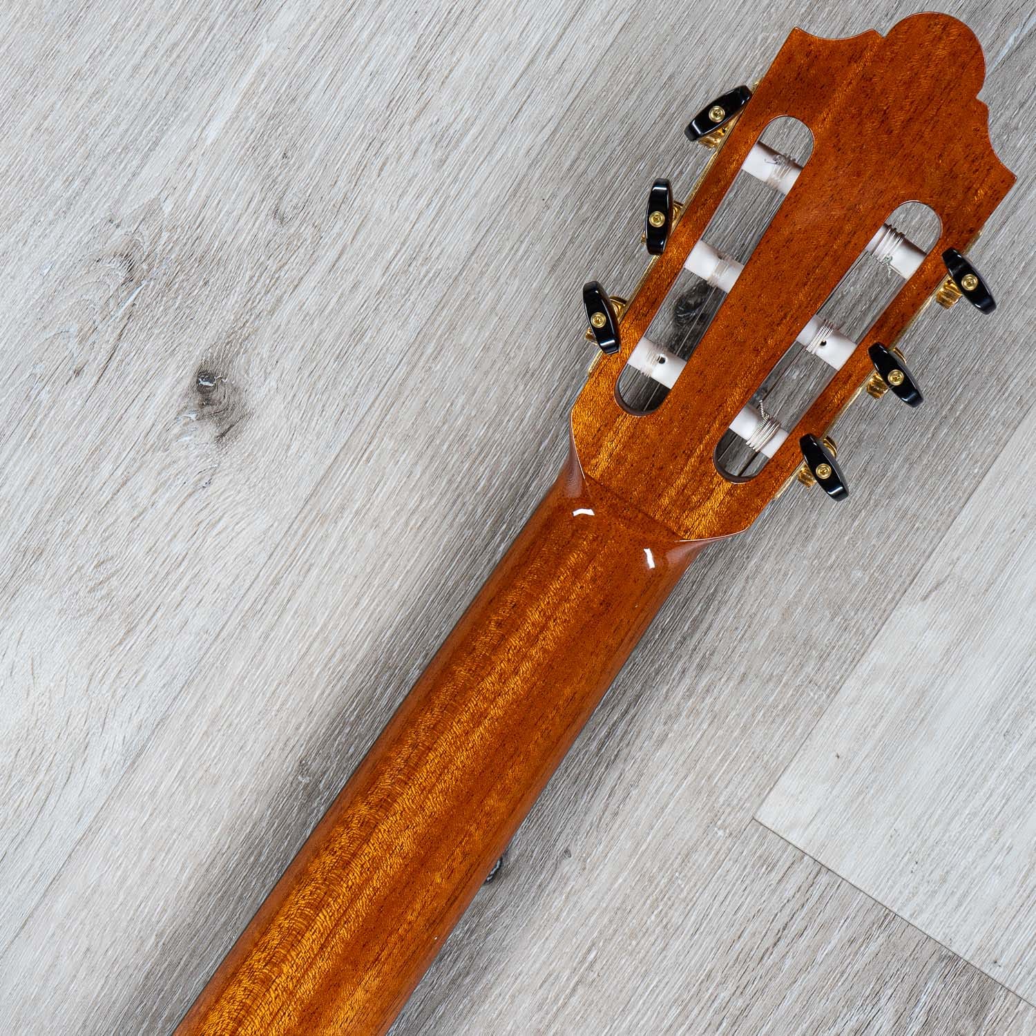 Cordoba Friederich CD PF Traditional Classical Acoustic Guitar, Solid Cedar Top