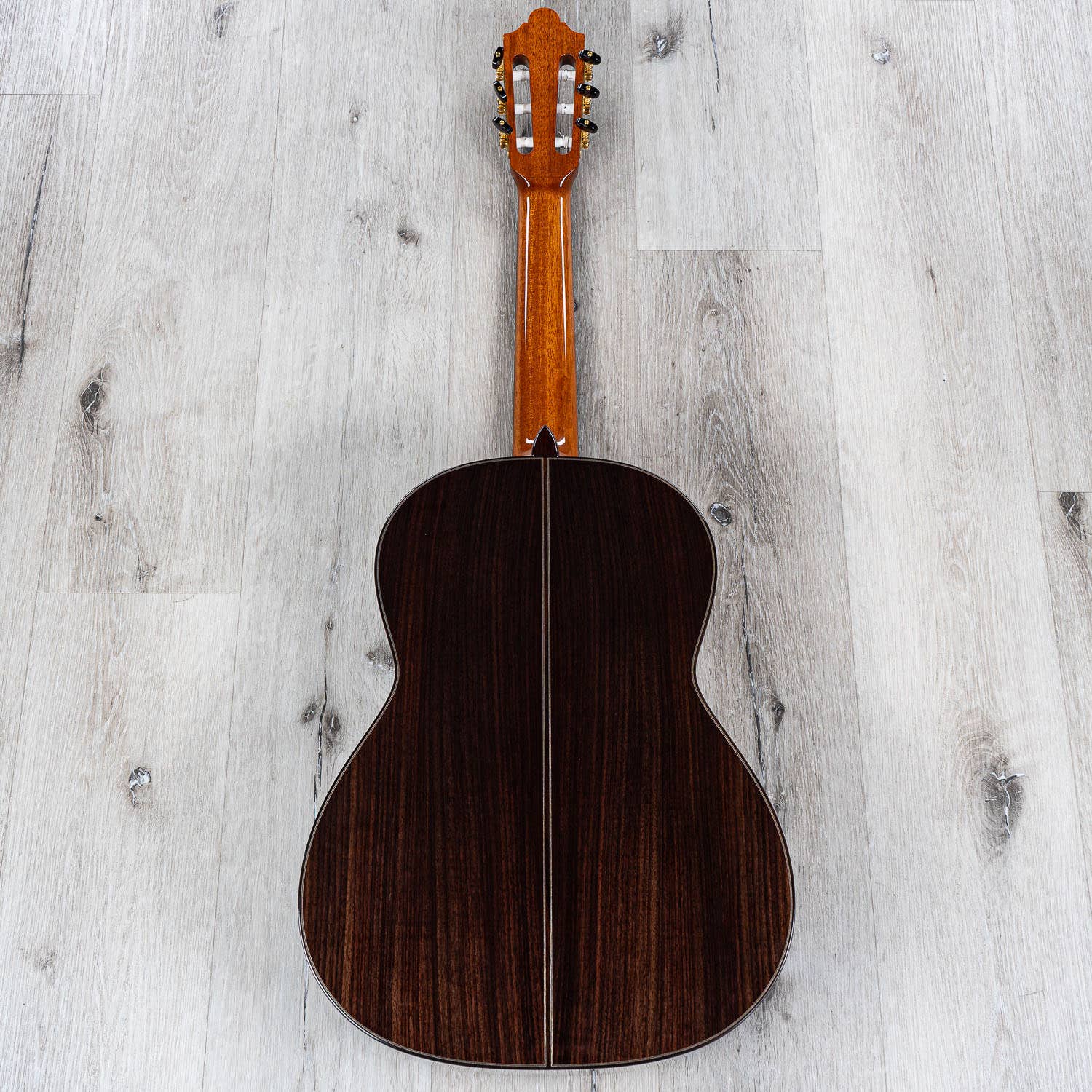 Cordoba Friederich CD PF Traditional Classical Acoustic Guitar, Solid Cedar Top