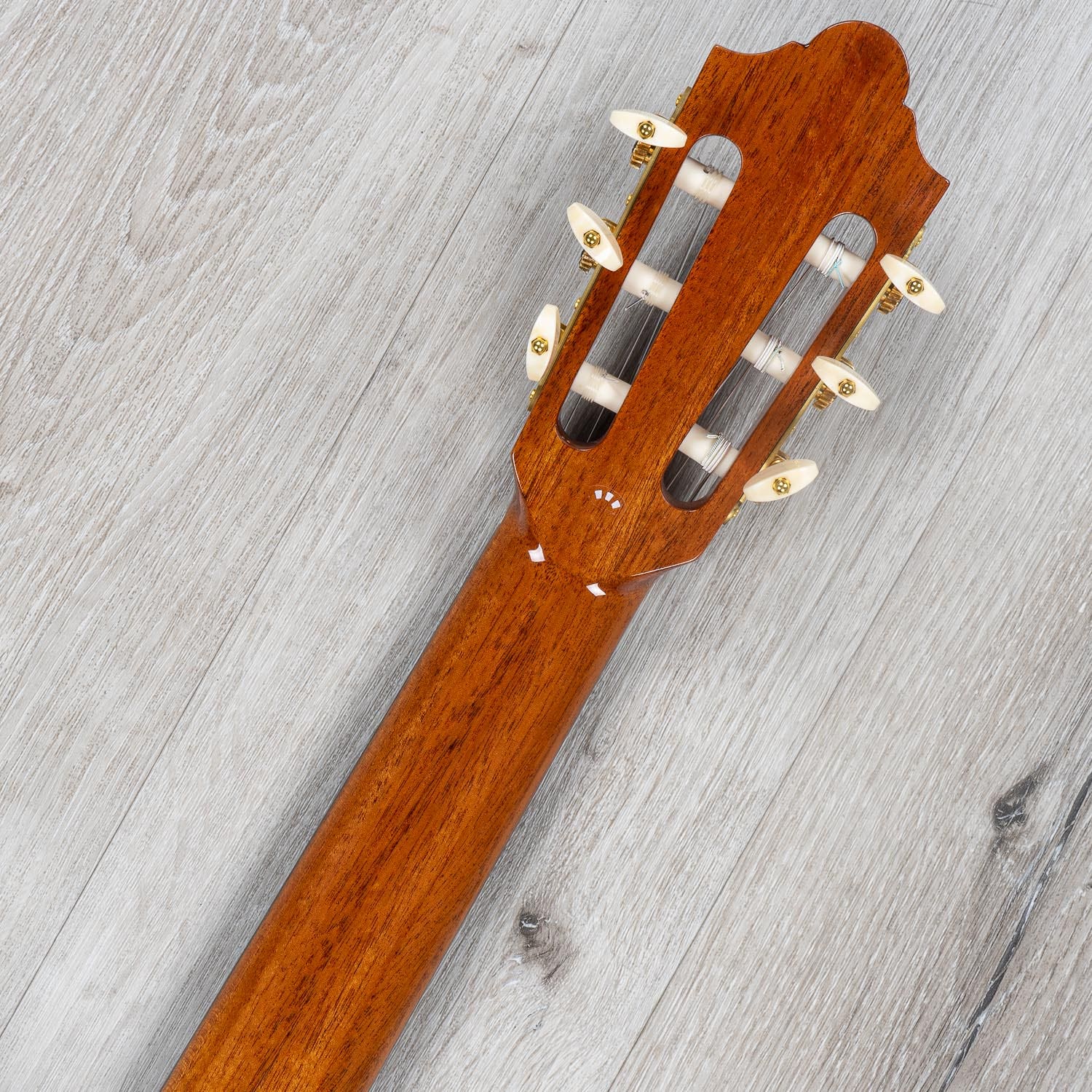 Cordoba Luthier Select Series Friederich CD PF Traditional Classical Acoustic Guitar, Solid Cedar Top