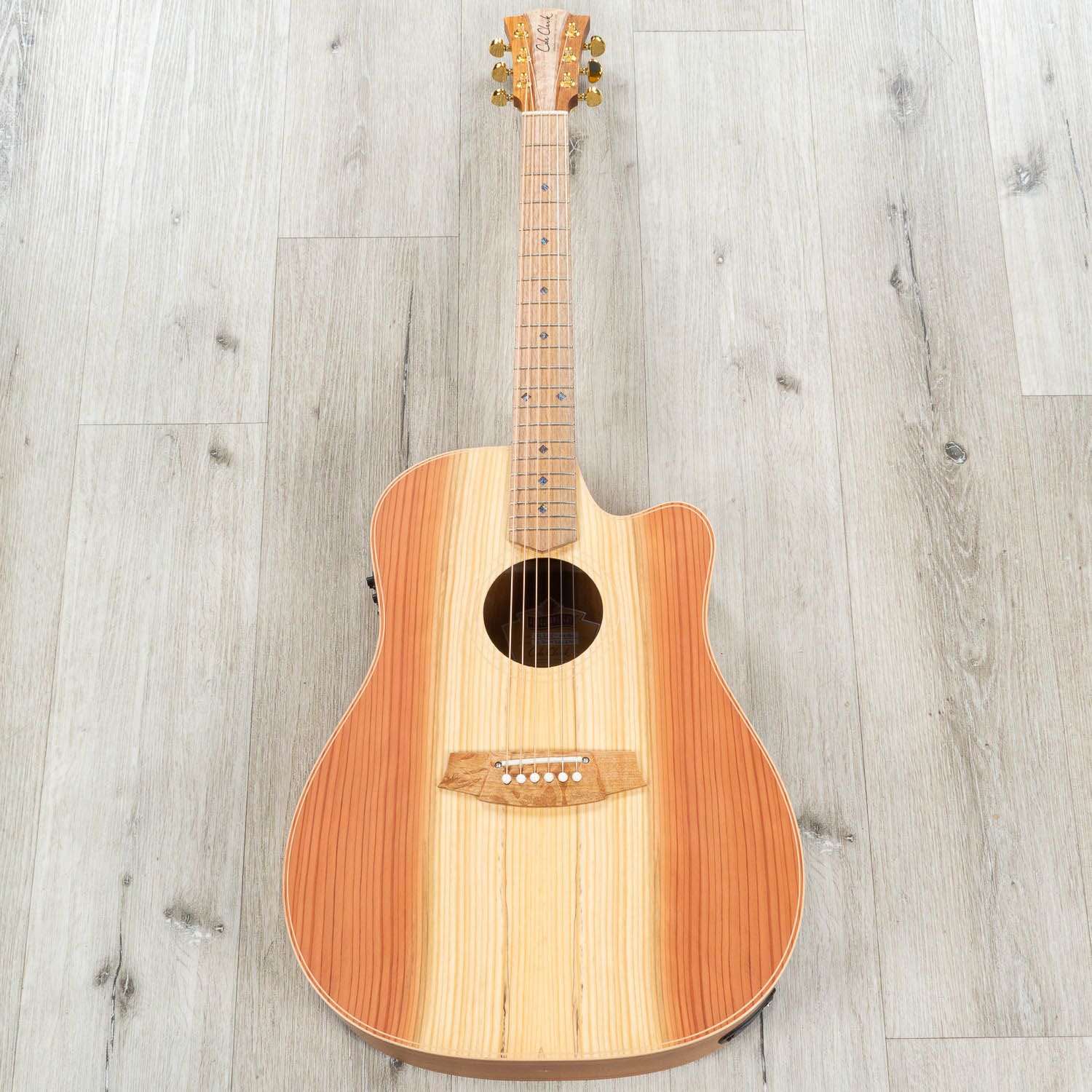 Cole Clark Fat Lady 2 Series FL2EC-RDBL Acoustic-Electric Guitar, Redwood Top, Hard Case
