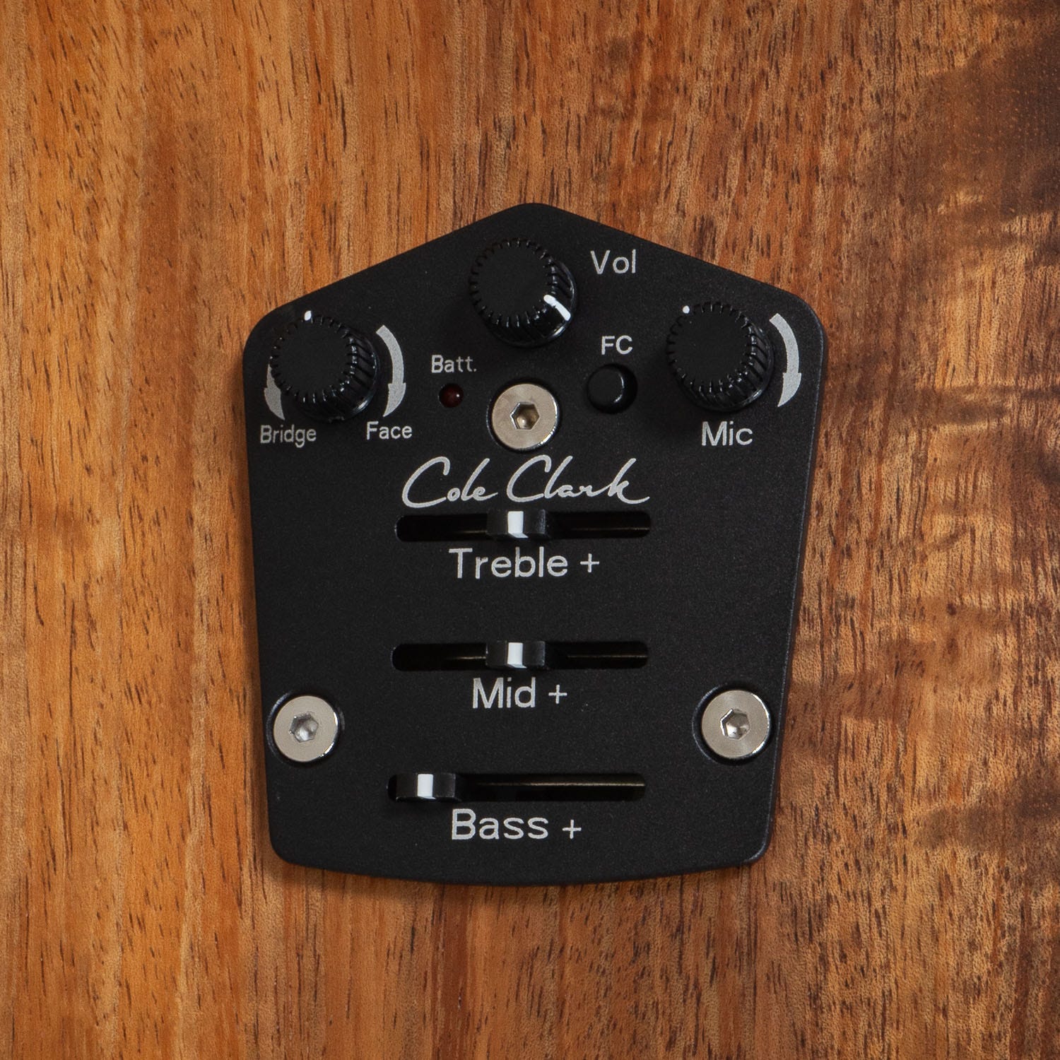 Cole Clark AN Grand Auditorium AN3EC-BB Acoustic-Electric Guitar, Blackwood Back & Sides, Bunya Top