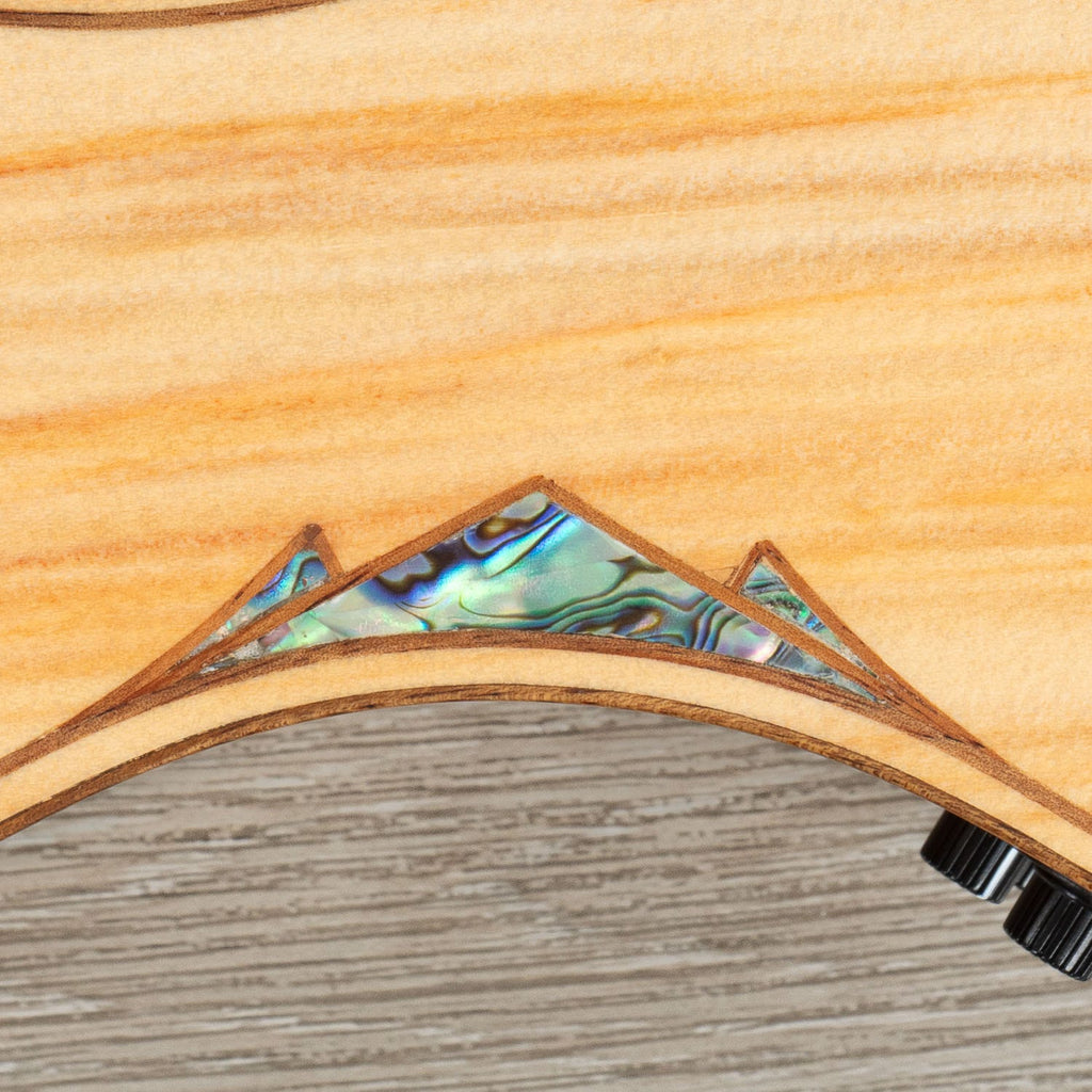 Cole Clark AN Grand Auditorium AN3EC-BB Acoustic-Electric Guitar, Blackwood Back & Sides, Bunya Top