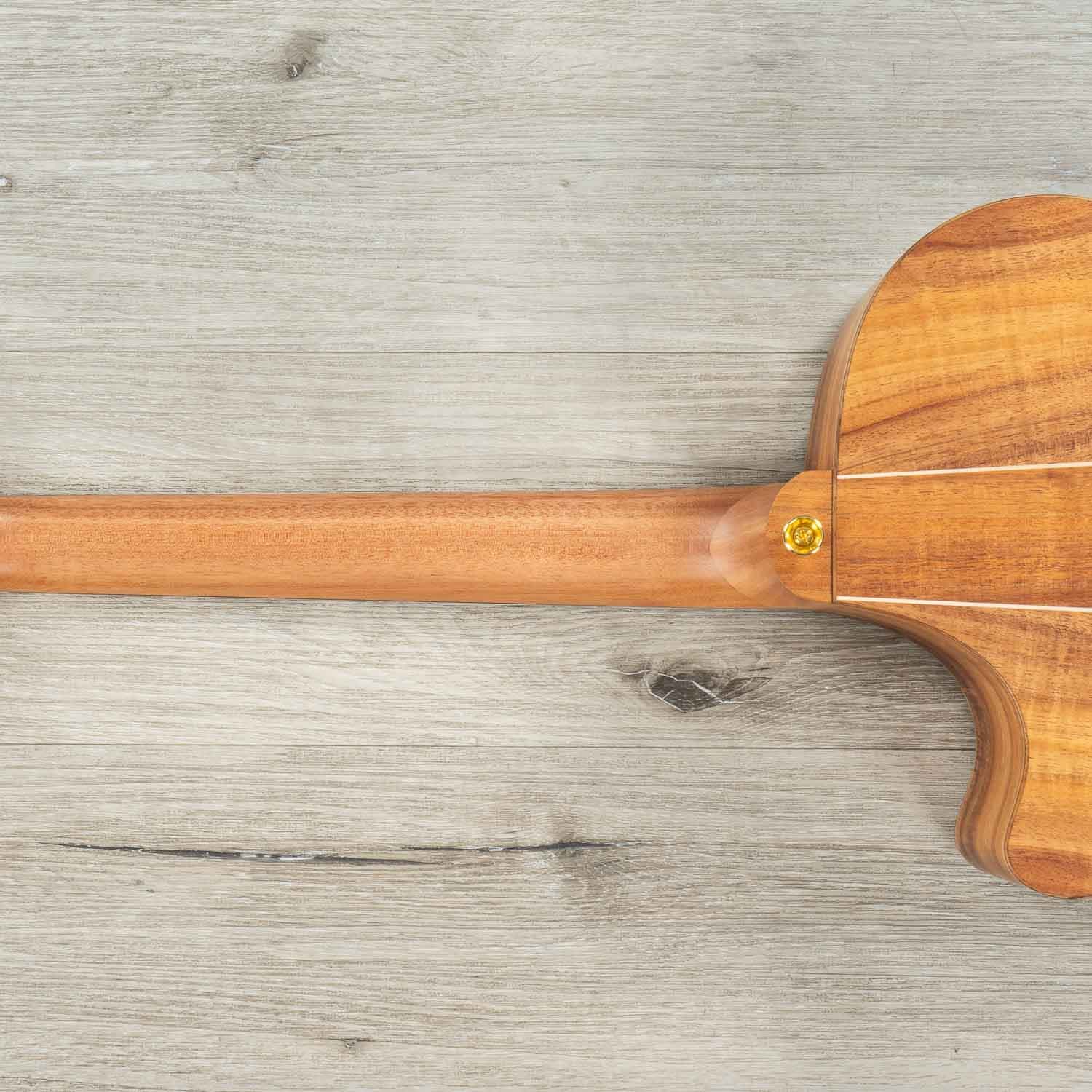 Cole Clark AN Grand Auditorium AN3EC-BB Acoustic-Electric Guitar, Blackwood Back & Sides, Bunya Top