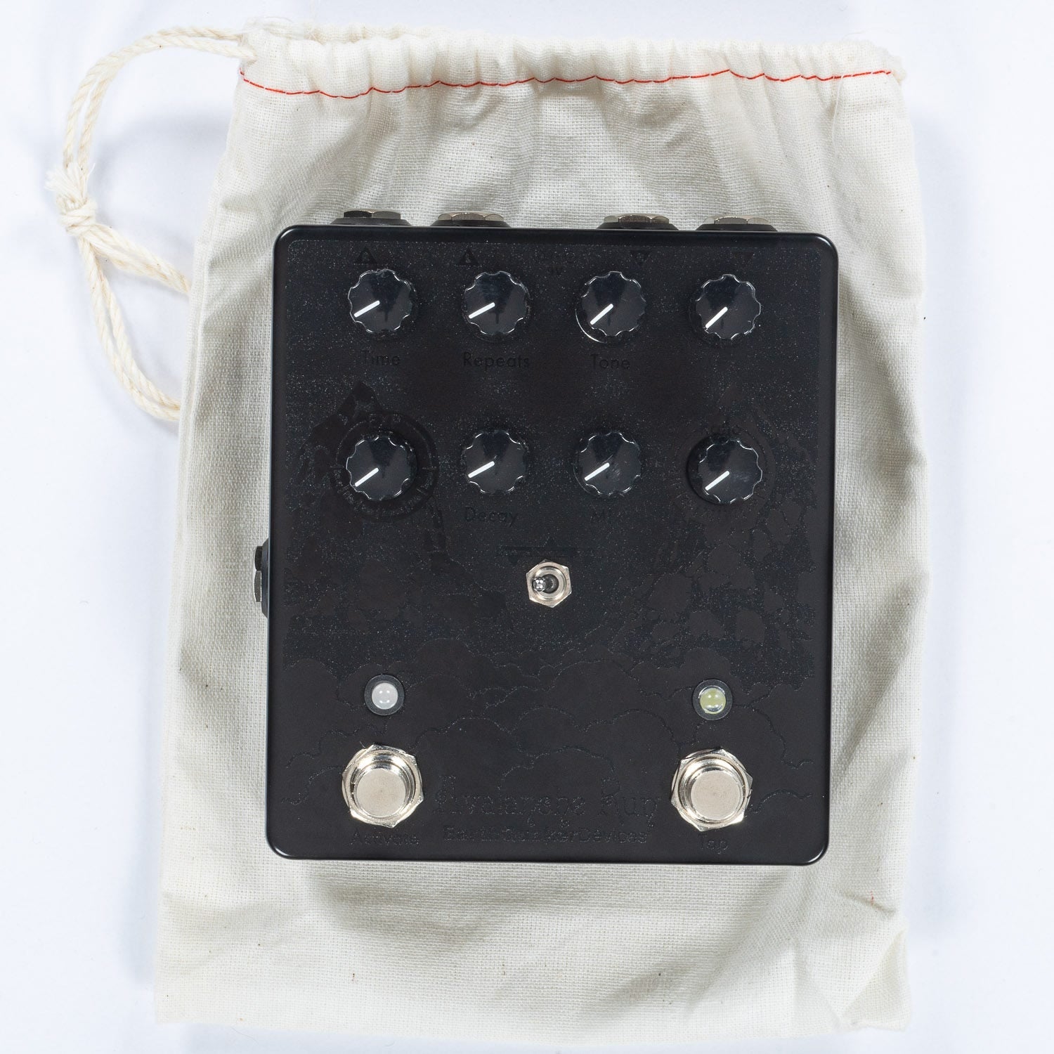 EQD EarthQuaker Devices Avalanche Run V2 Stereo Delay & Reverb Guitar Effects Pedal, Pitbull Audio Exclusive Black on Black