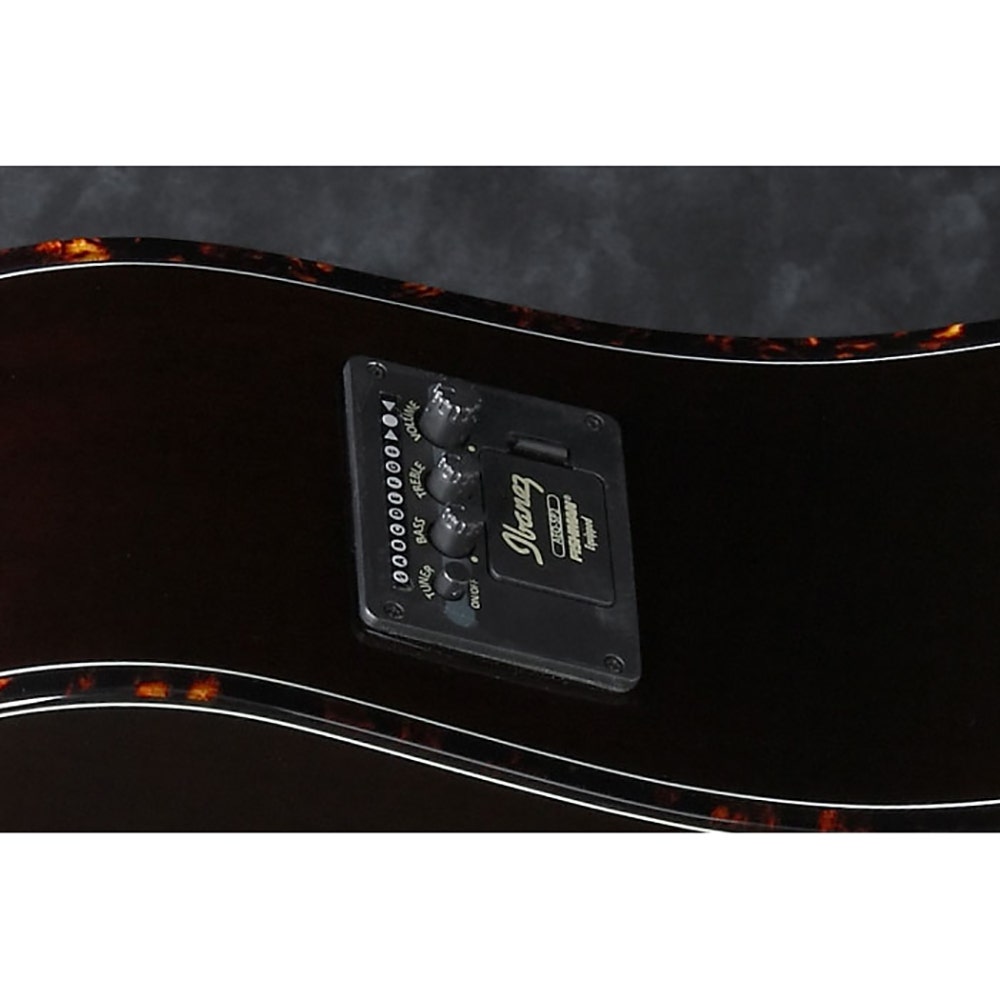 Ibanez AEWC31BC OPN Exotic Wood Acoustic-Electric Guitar - Open Pore Natural (B-STOCK)
