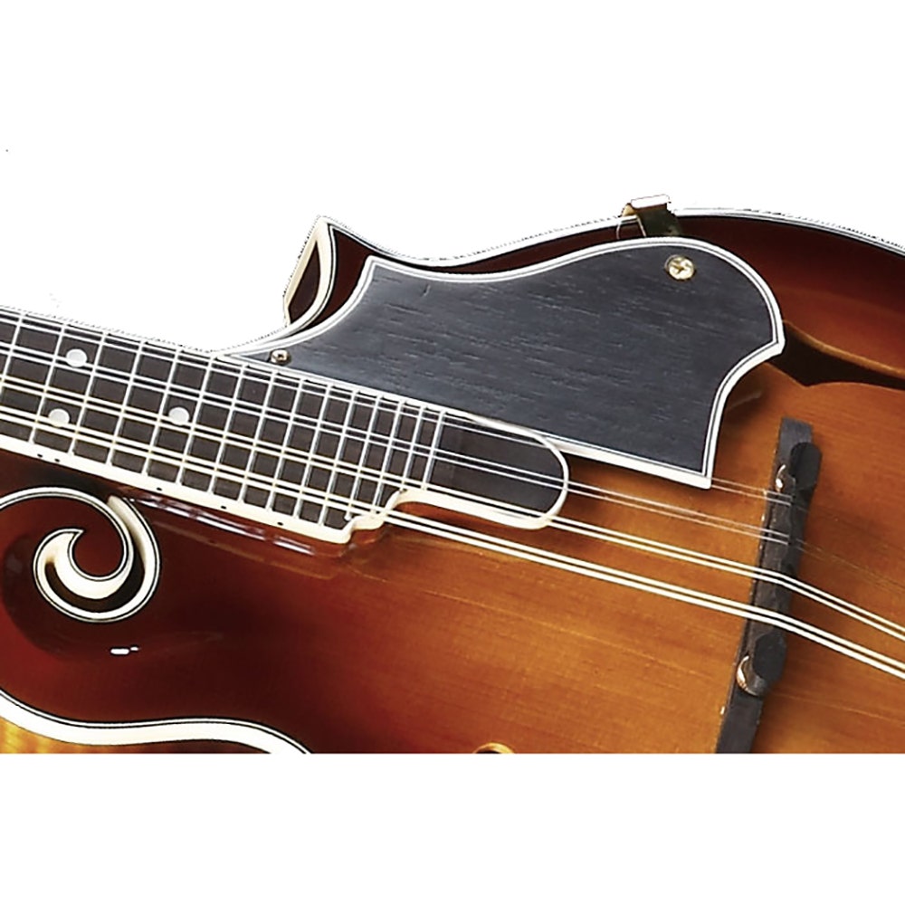 Ibanez M700S AVS F-Style Mandolin - Antique Violin Sunburst High Gloss (B-STOCK)