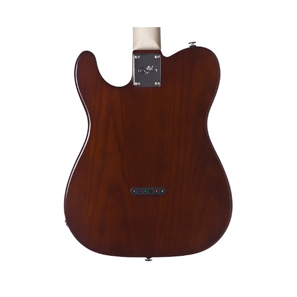 G&L USA ASAT Classic Bluesboy Semi-Hollow Electric Guitar, Rosewood Fingerboard, Hard Case - Whiskey