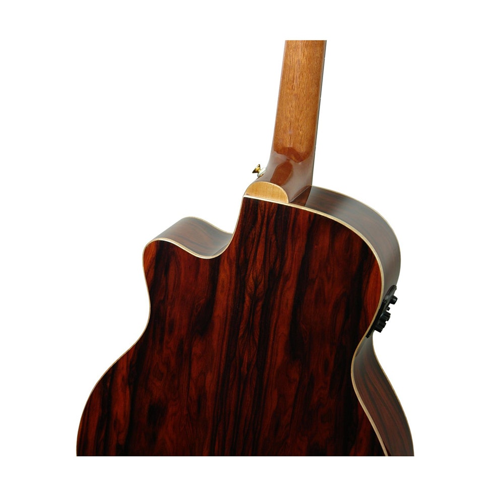 Luna VISTA BEAR Grand Auditorium Acoustic/Electric Guitar with Hard Case