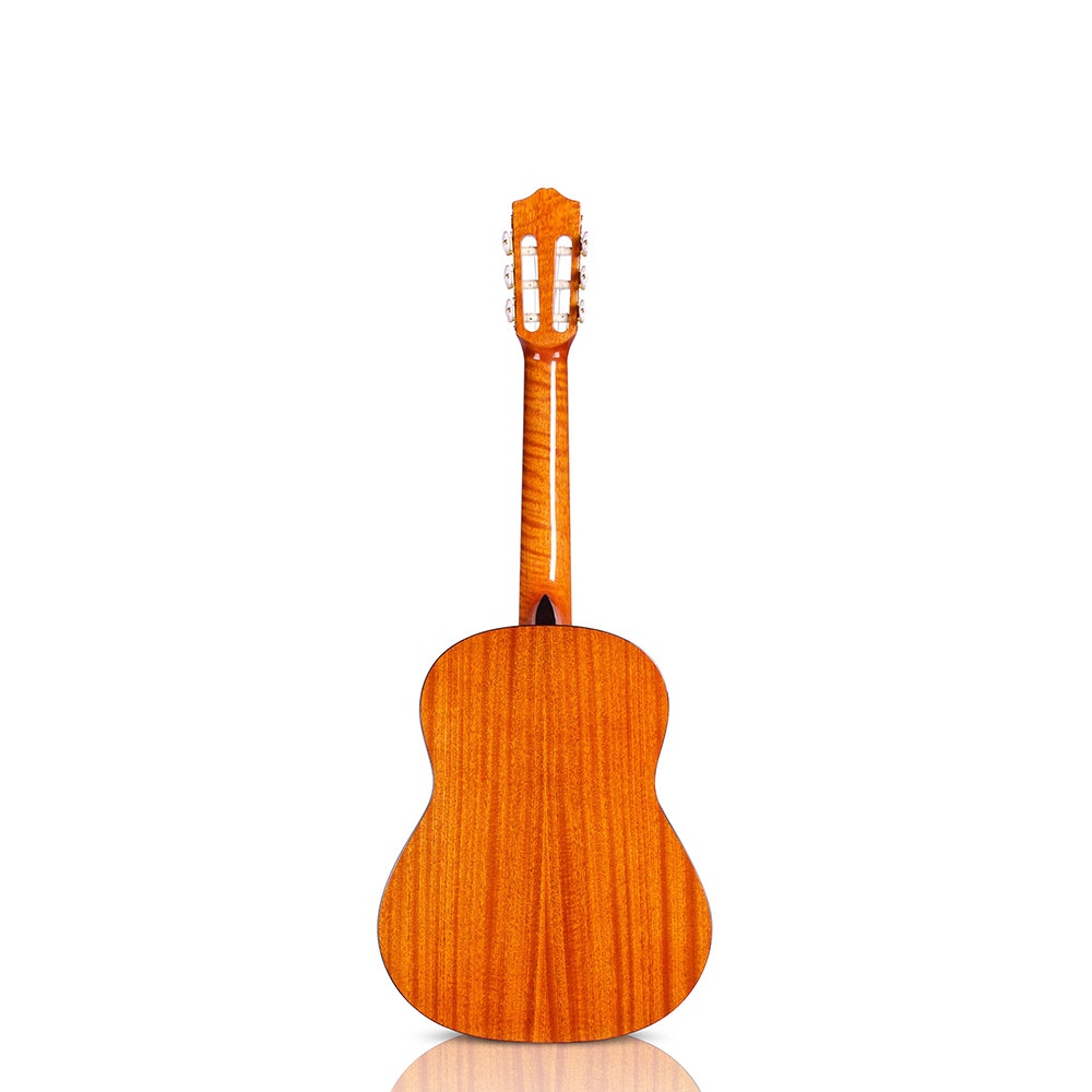 Cordoba Protege C1 3/4 Size Nylon-string Acoustic Guitar with Gig Bag