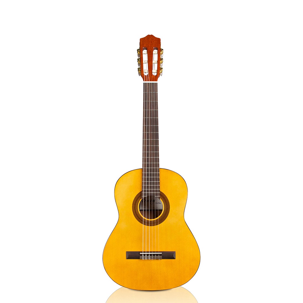 Cordoba Protege C1 3/4 Size Nylon-string Acoustic Guitar with Gig Bag