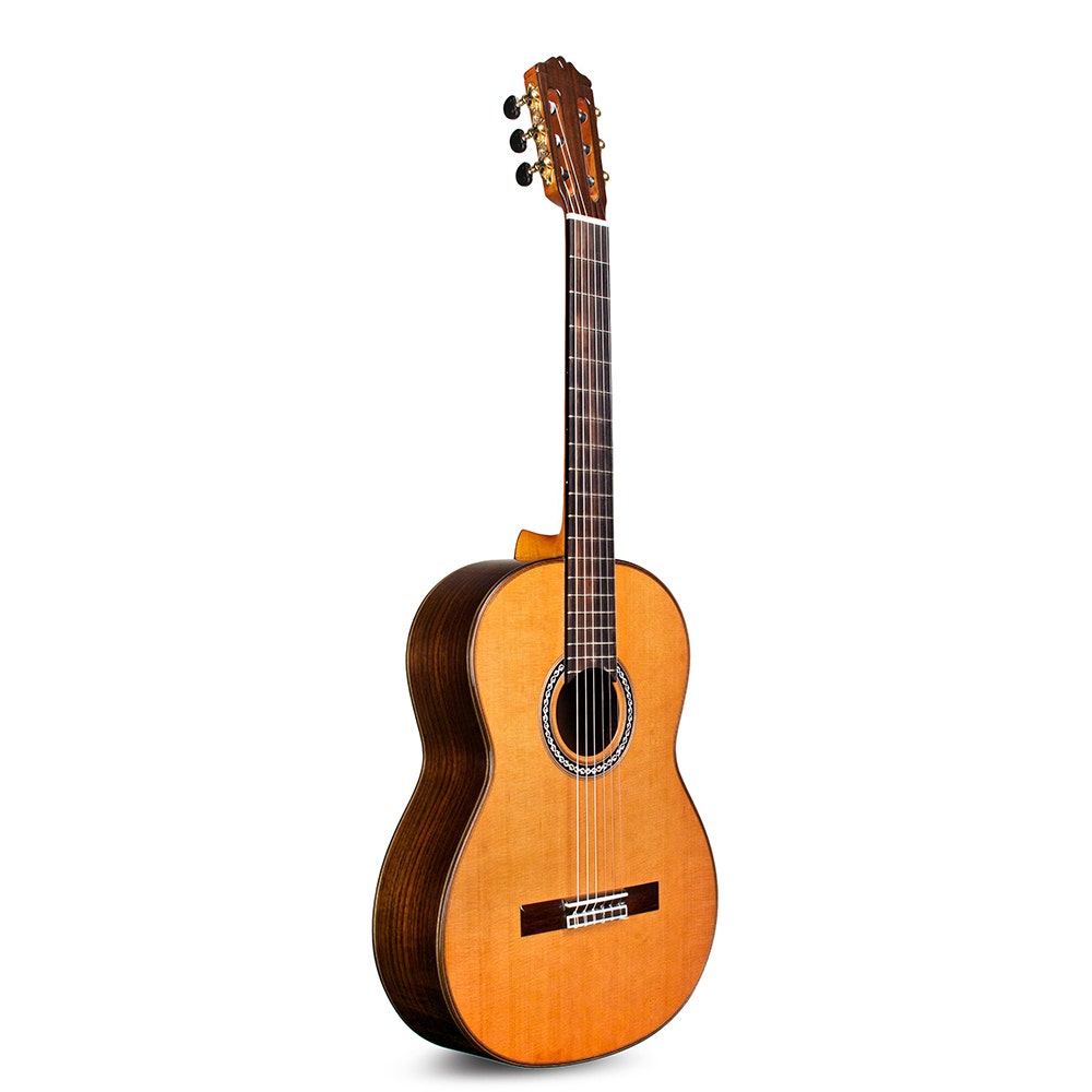 Cordoba C10 CD/IN Acoustic Nylon String Classical Guitar