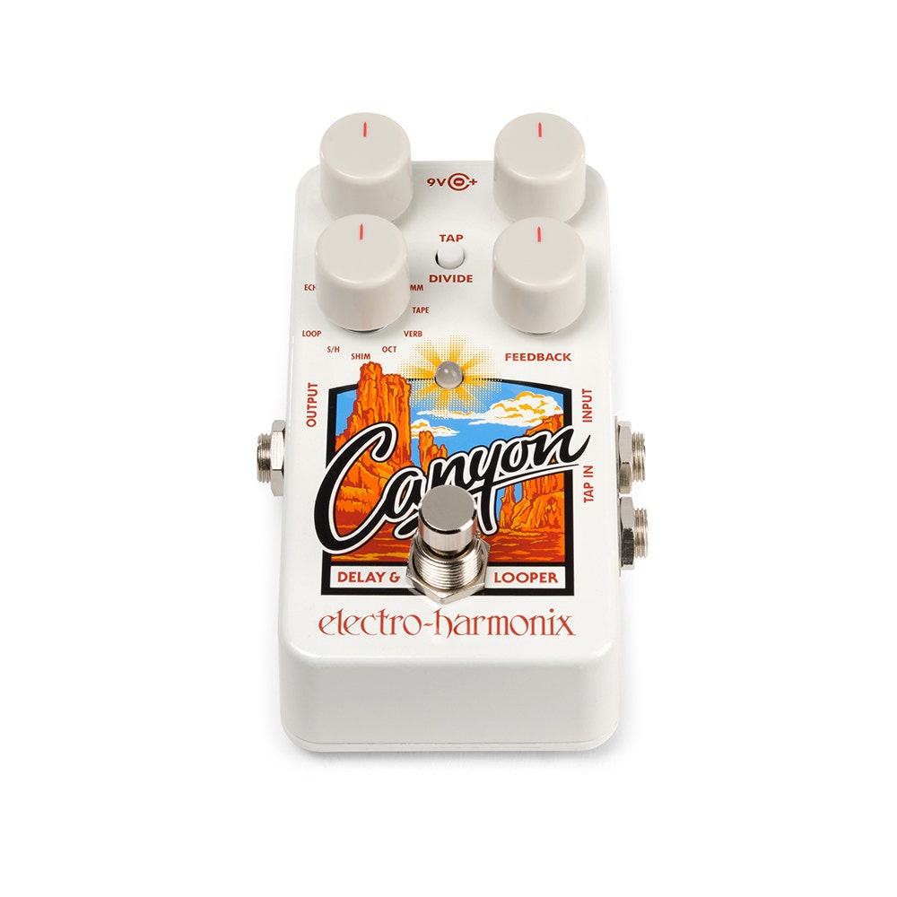 Electro Harmonix CANYON Delay & Looper Pedal