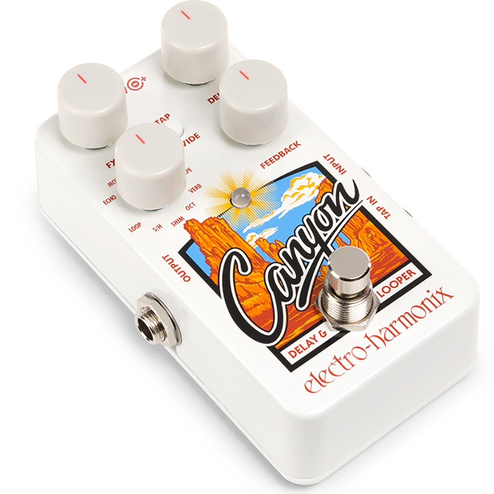 Electro Harmonix CANYON Delay & Looper Pedal