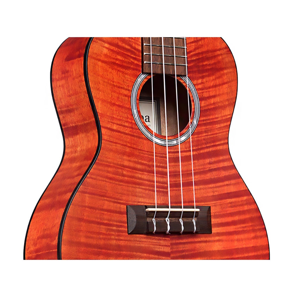 Cordoba 15CFM Flamed Mahogany Concert Uke Ukulele, Pau Ferro Fretboard, Rose Red