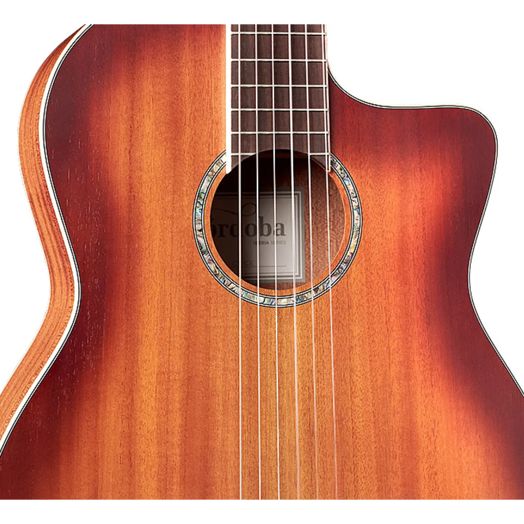 Cordoba Iberia C4-CE Nylon-String Acoustic-Electric Guitar, Solid African Mahogany, Edge Burst