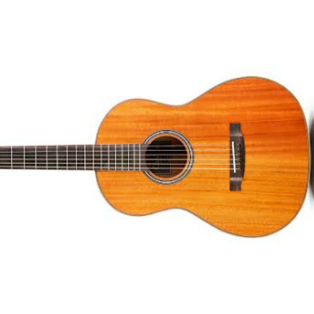 Cordoba L9-E Leona Series Parlor Steel String Acoustic/Electric Guitar with Case