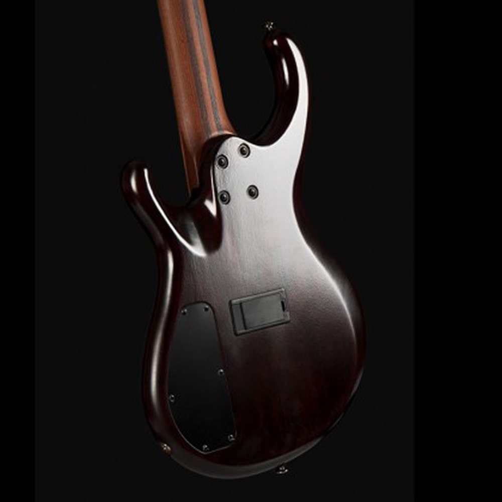 Cort Persona 5 Blue Resin Burl 5-String Bass Guitar, Macassar Ebony Fingerboard