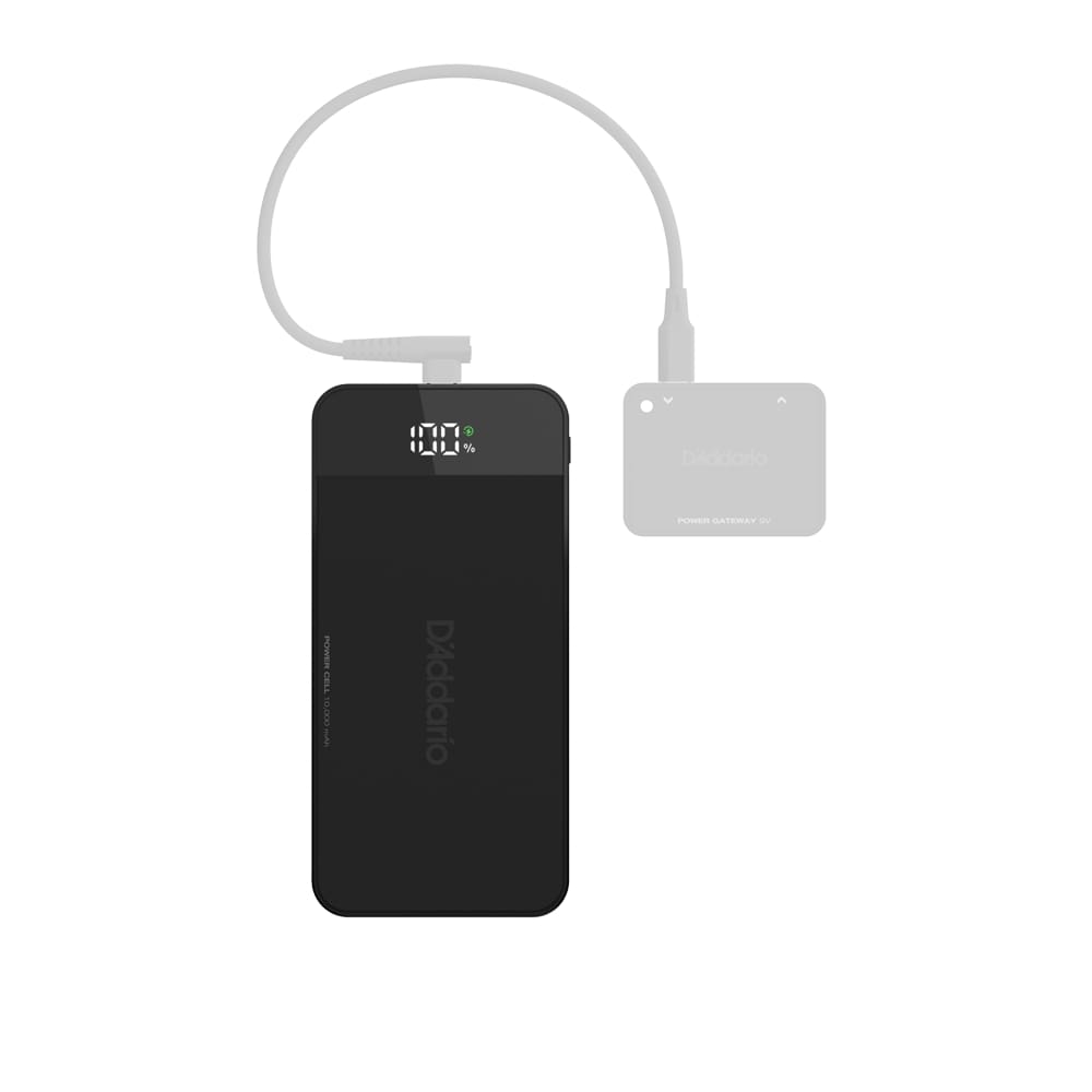 D'Addario XPND Backup Portable Pedalboard Power Cell