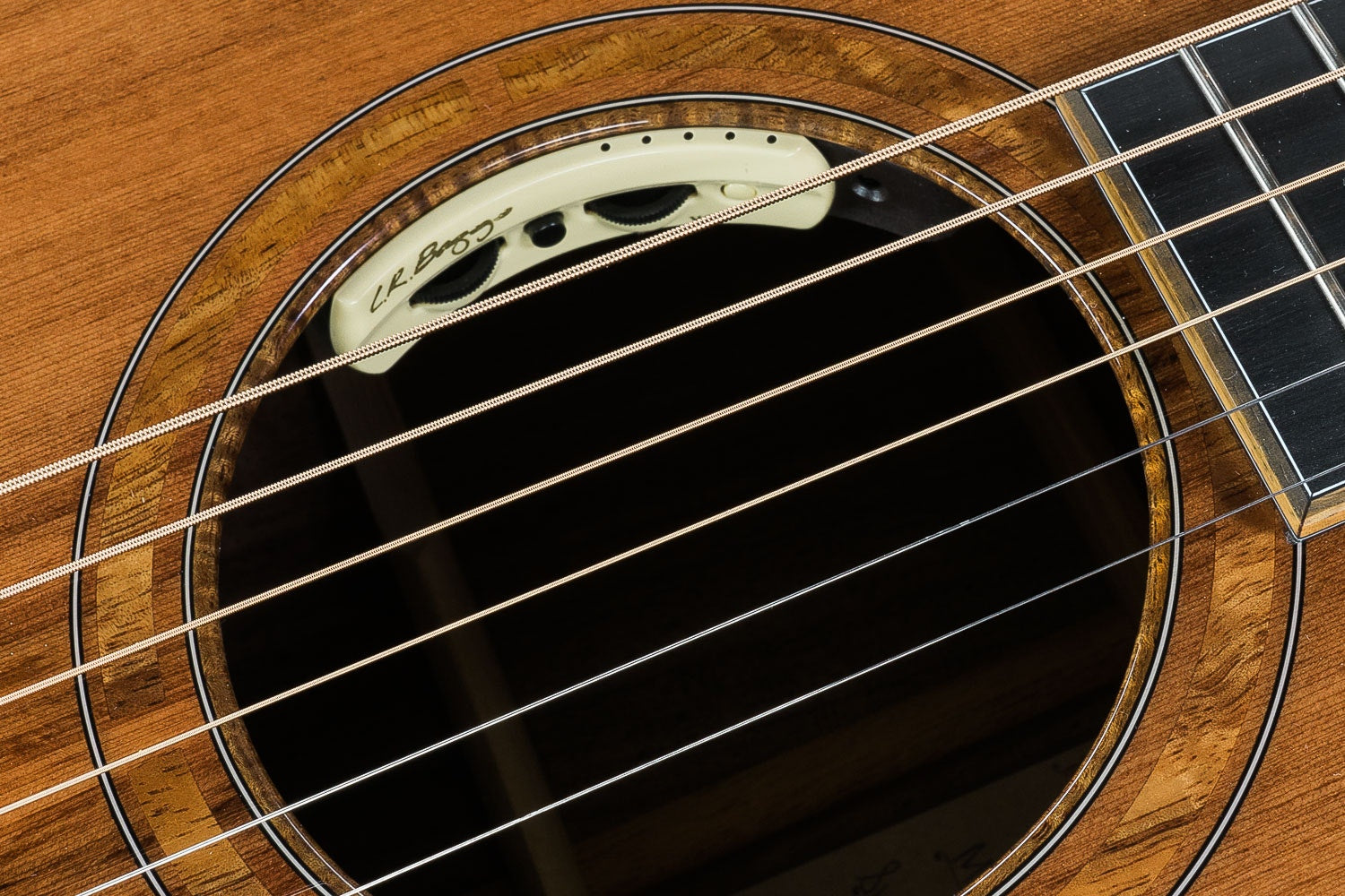 2019 NOS Breedlove 2019 Masterclass Custom Concertina E Acoustic-Electric Guitar, Redwood - Figured Walnut, LR Baggs Anthem Tru-Mic