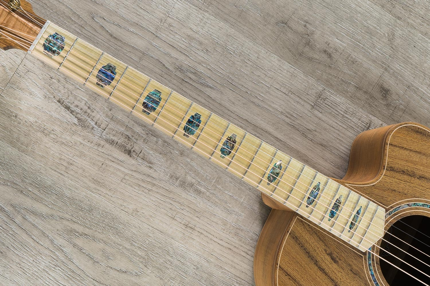 Cole Clark FL3EC-BLBL Fat Lady 3 Acoustic Guitar, Blackwood, Natural
