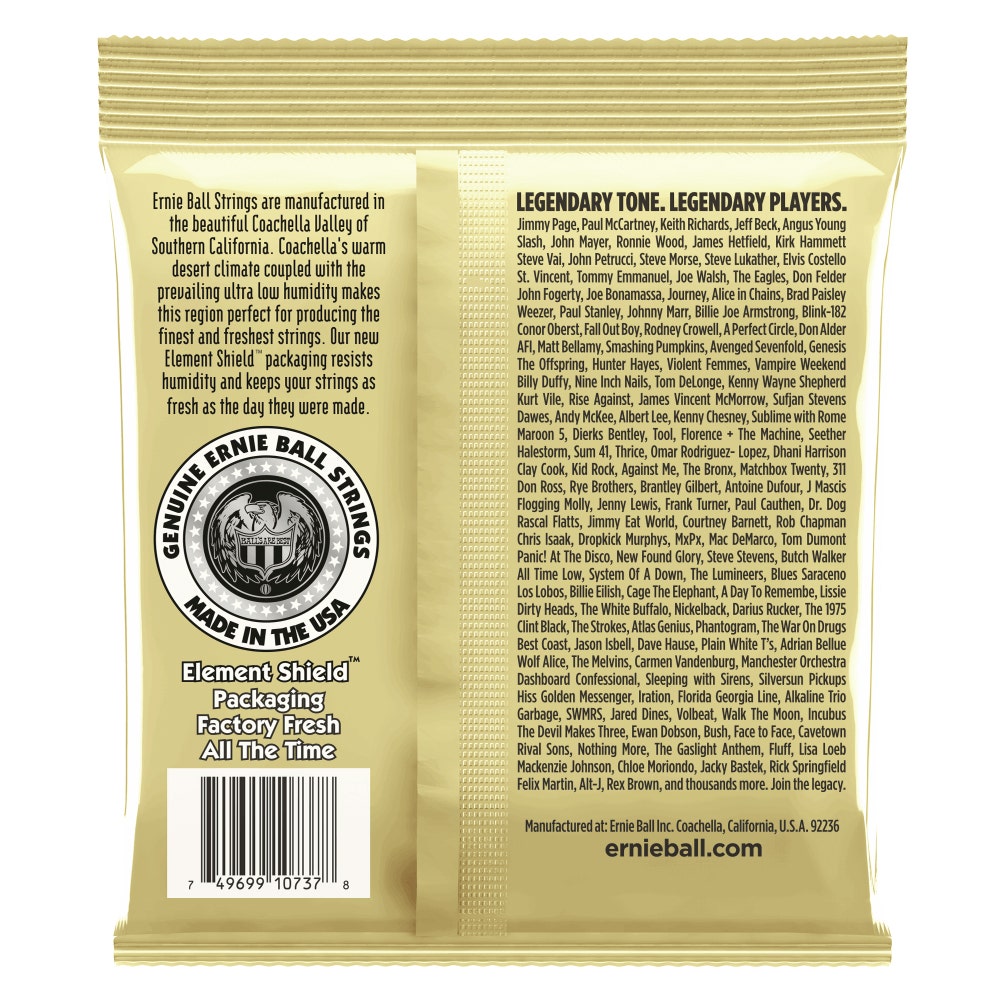 Ernie Ball 2013 Earthwood 12-String 80/20 Bronze Acoustic Guitar Strings, 10-48