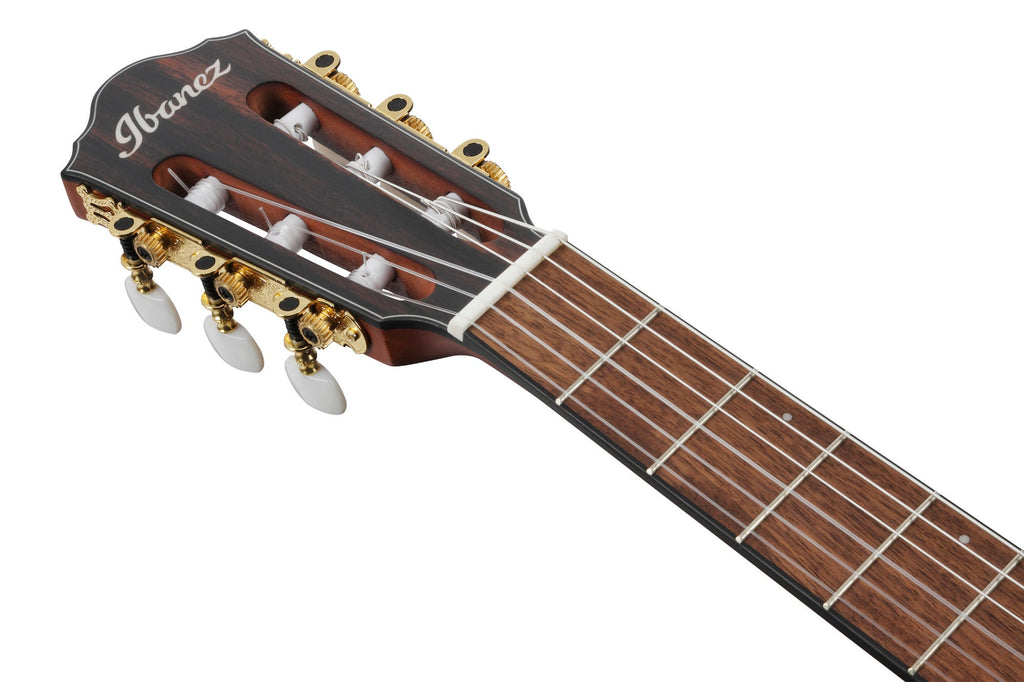Ibanez FRH10NL Nylon-String Acoustic-Electric Left-Handed Guitar, Brown Sunburst Flat