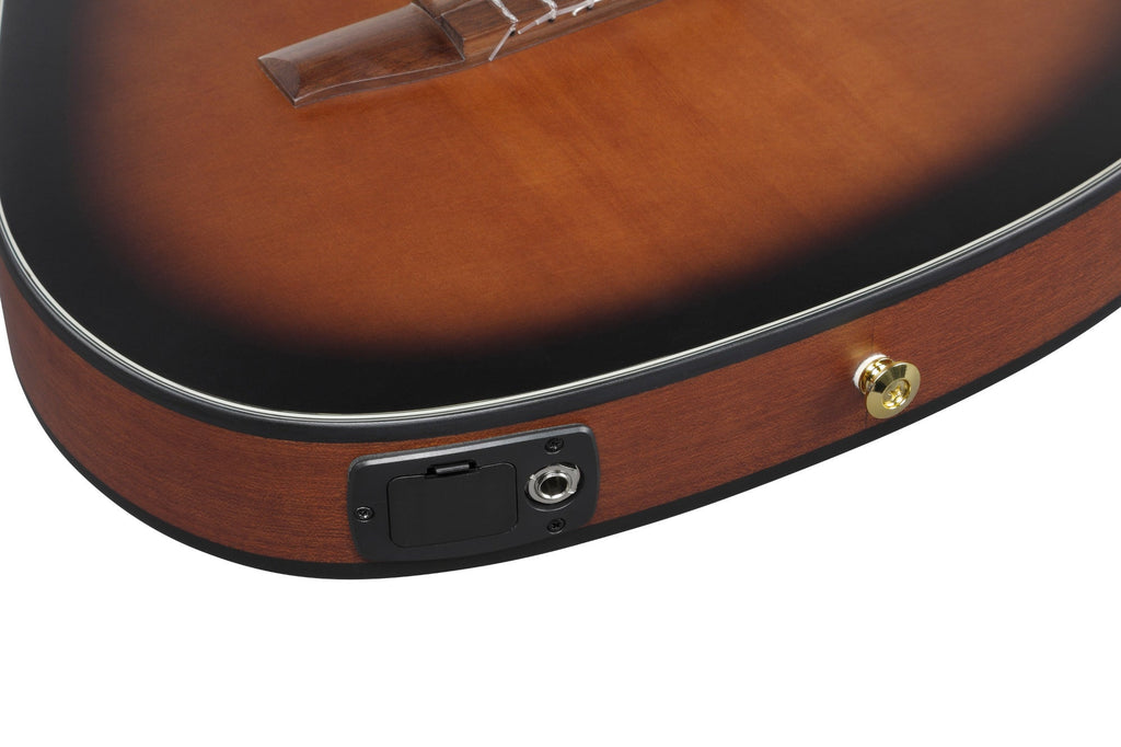 Ibanez FRH10NL Nylon-String Acoustic-Electric Left-Handed Guitar, Brown Sunburst Flat