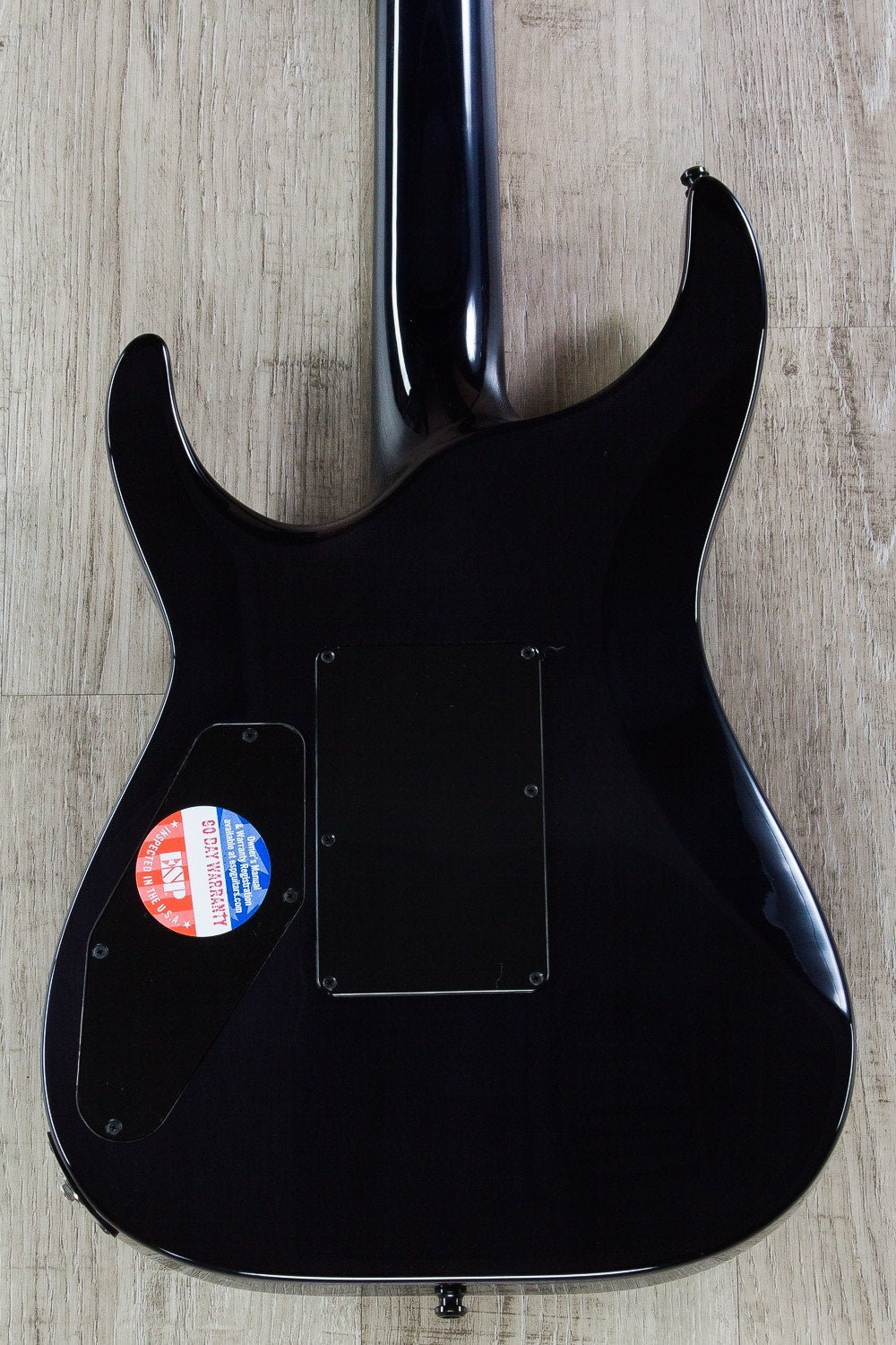 ESP E-II Horizon FR Electric Guitar, Ebony Fingerboard, Hard Case - Reindeer Blue (B-STOCK)