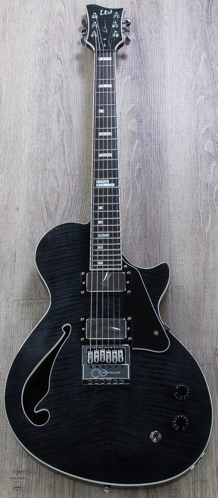 ESP LTD BW-1 FM/ET Ben Weinman Signature Model Electric Guitar - See Thru Black Finish (B-STOCK)
