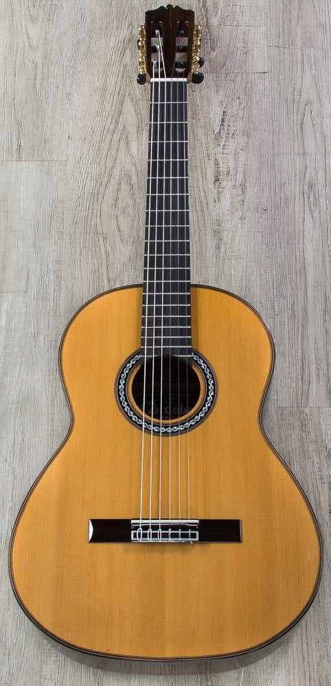 Cordoba C10 Parlor CD Acoustic Cedar Top Classical Nylon String Parlor Size Guitar with Case