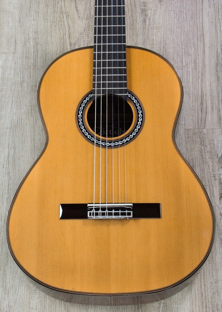 Cordoba C10 Parlor CD Acoustic Cedar Top Classical Nylon String Parlor Size Guitar with Case