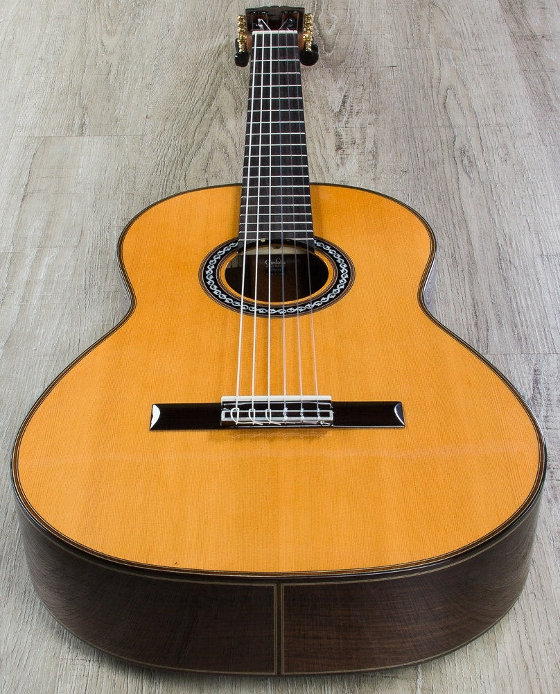 Cordoba C10 Parlor CD Acoustic Cedar Top Classical Nylon String Parlor Size Guitar with Case