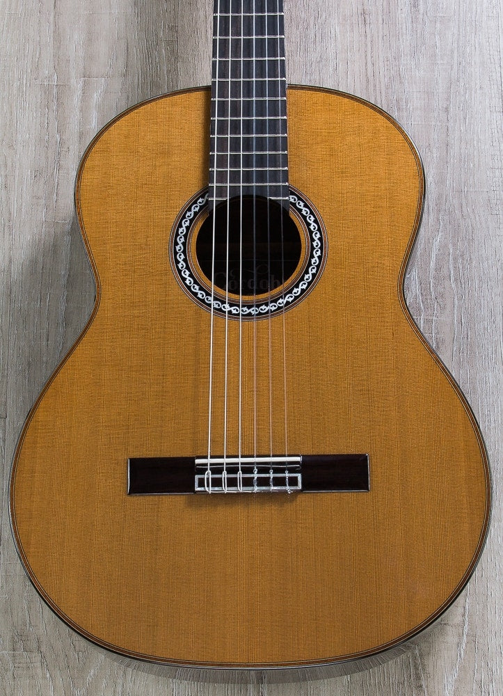 Cordoba C10 CD/IN Acoustic Nylon String Classical Guitar