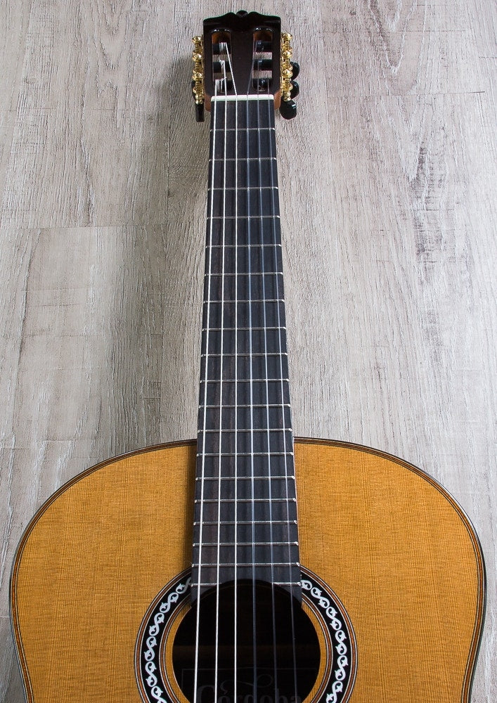 Cordoba C10 CD/IN Acoustic Nylon String Classical Guitar