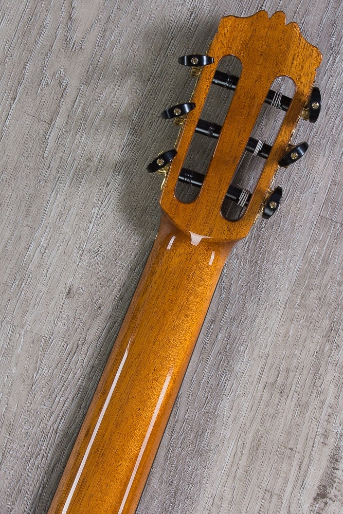 Cordoba C10 CD/IN Acoustic Nylon String Classical Guitar