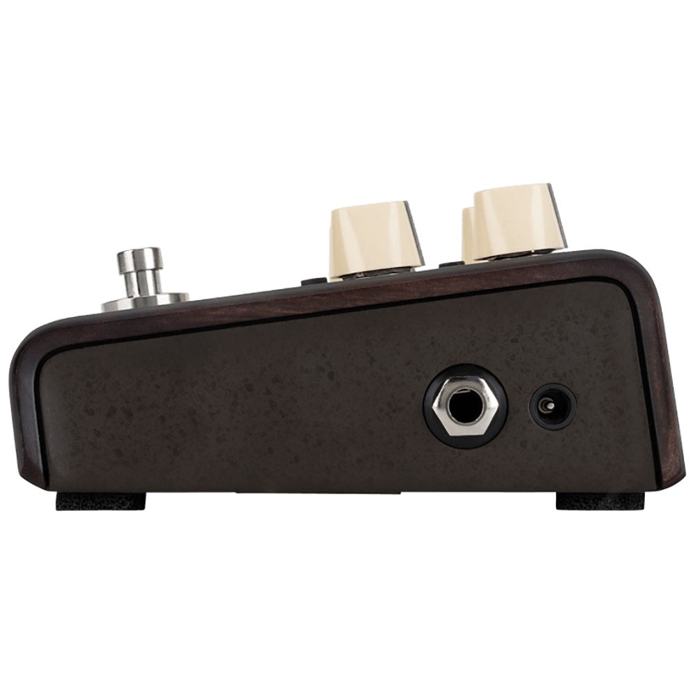 LR Baggs Align Series Delay Acoustic Electric Guitar Pedal (Open Box)