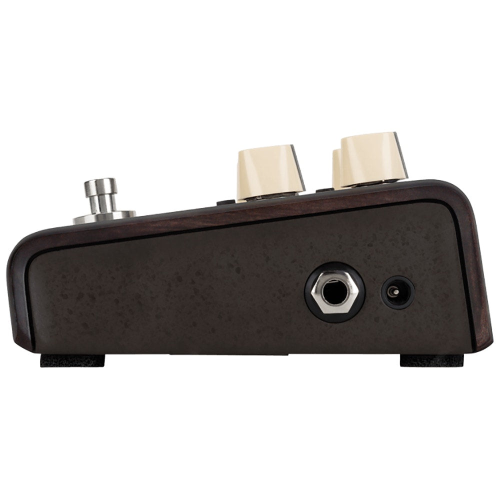 LR Baggs Align Series Delay Acoustic Electric Guitar Pedal