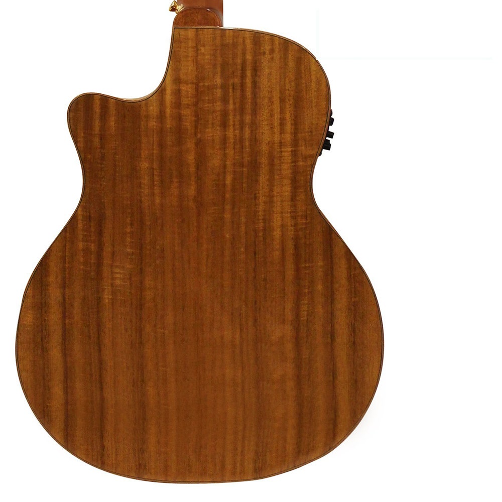 Luna ART NOUVEAU Vista Eagle Grand Auditorium Acoustic-Electric Guitar with Hard Case