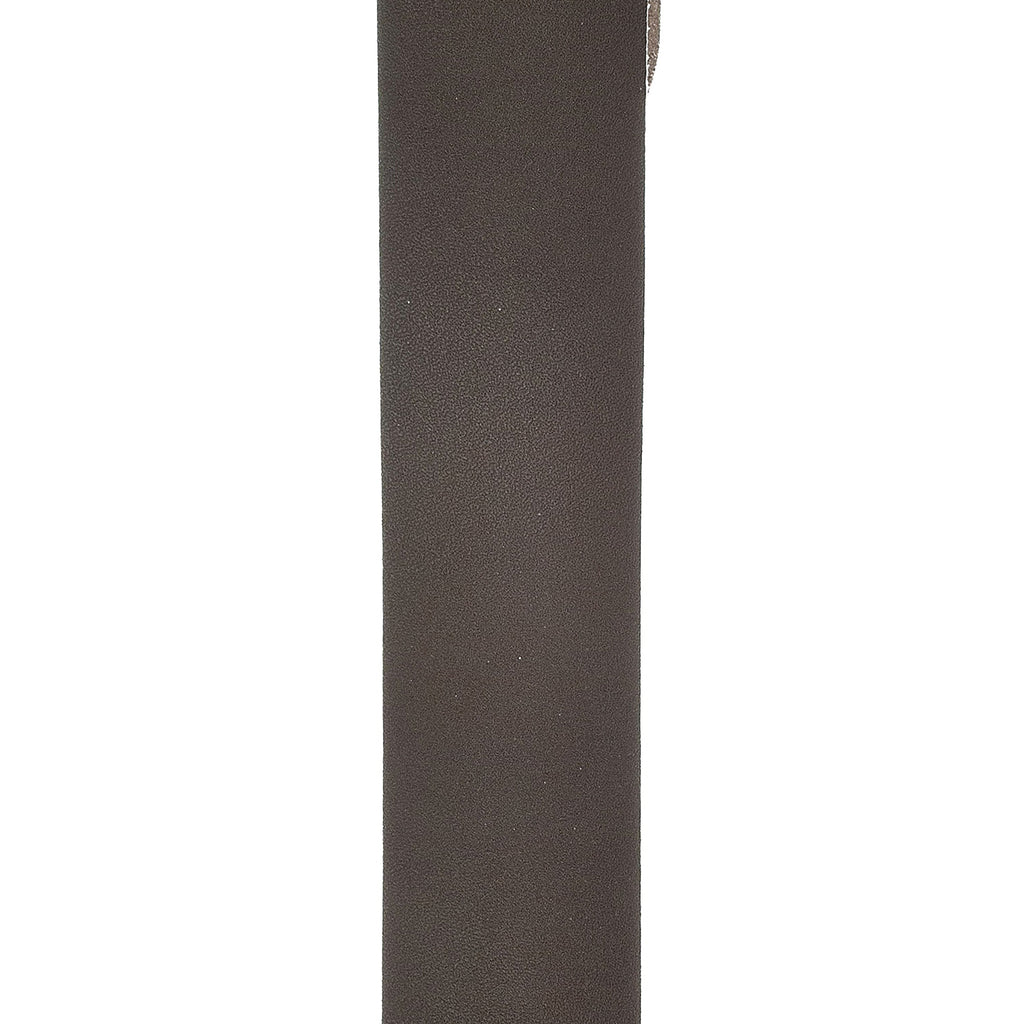Planet Waves PLW-25BL01 2.5" Basic Leather Guitar Strap - Brown
