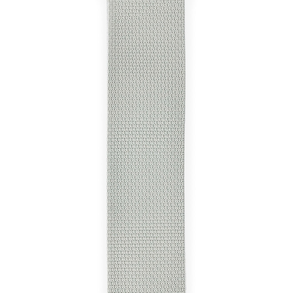 Planet Waves Polypropylene Guitar Strap (Silver)