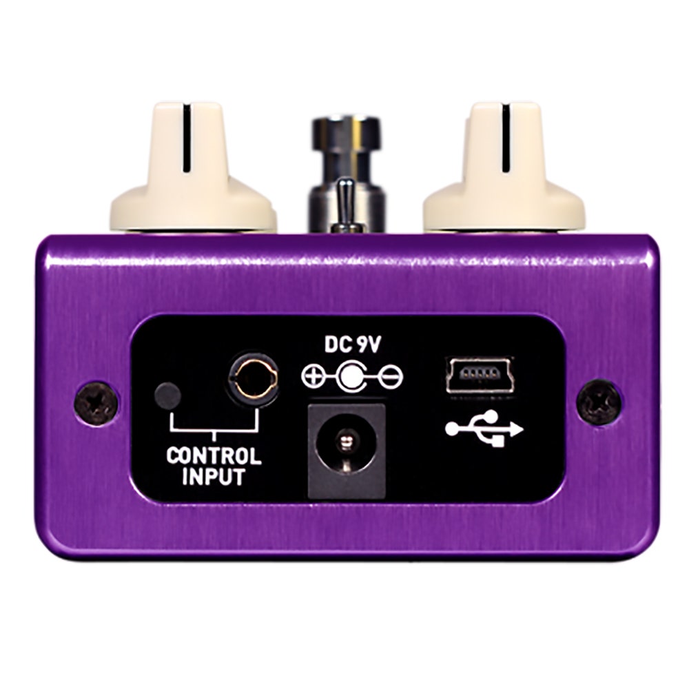 Source Audio SA 248 Spectrum Intelligent Filter Envelope Filter Guitar Effects Pedal