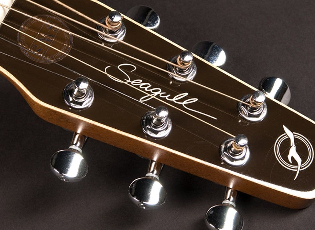 Seagull Coastline Grand Acoustic Guitar