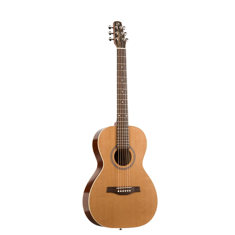 Seagull Coastline Grand Acoustic Guitar