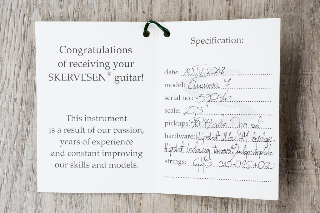 Skervesen Chimera 7 - 7-String Electric Guitar, Flamed Maple Fretboard, Hard Case - Aqua