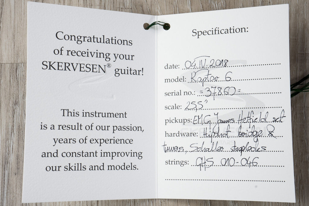 Skervesen Raptor 6 - 6-String Electric Guitar, Flamed Maple Top, Hard Case - Blue